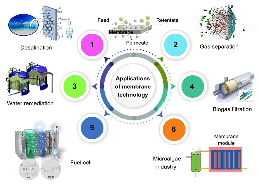 Common applications of membranes Membranes are extensively used in the desalination